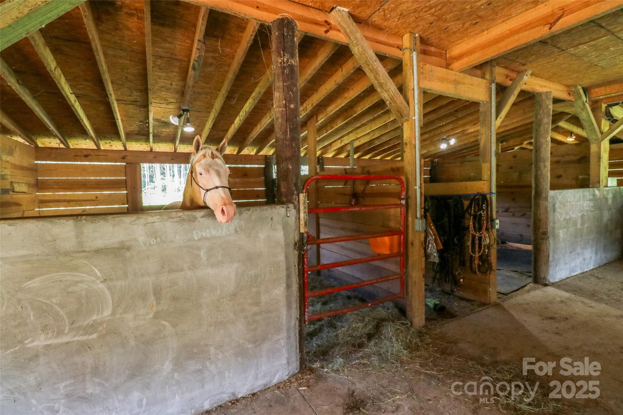 0 Shaw Avenue Waxhaw, NC 28173 - Photo 17 of 18 a view of a room with wooden walls