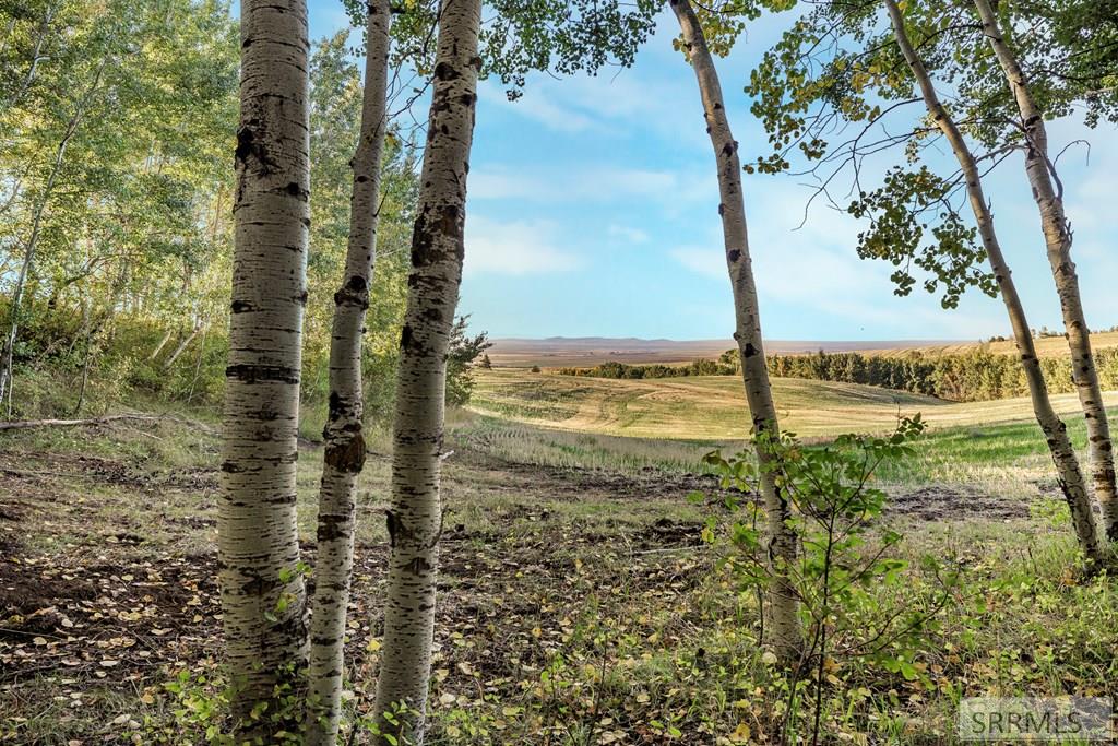 Tbd Tbd Rig Ranch Road Rexburg, ID 83440 - Photo 21 of 23