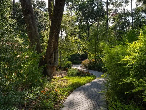 a view of a backyard of a house with a tree