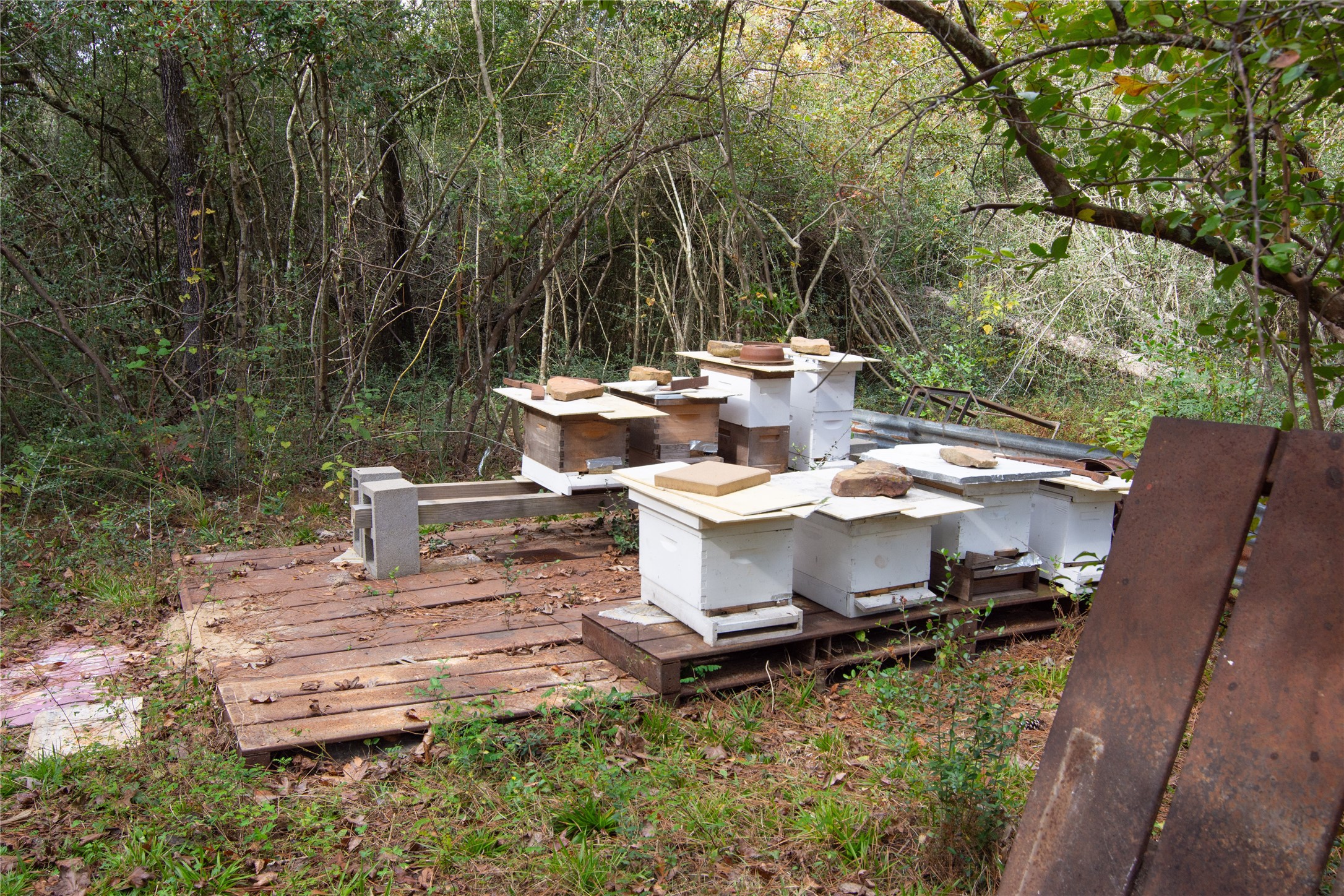 1080 Hill Road Willis, TX 77378 - Photo 29 of 33 a view of a patio with table and chairs potted plants with large tree