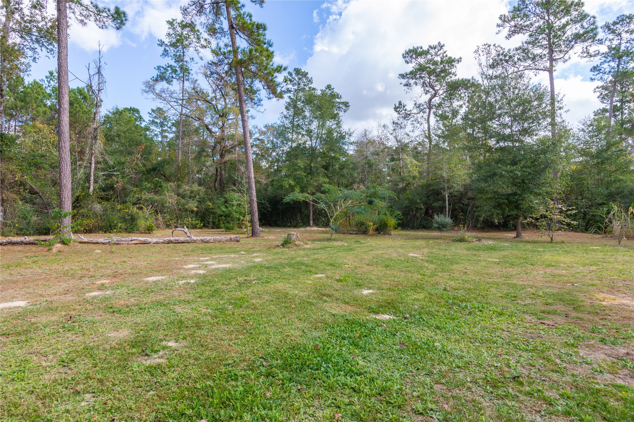 1080 Hill Road Willis, TX 77378 - Photo 30 of 33 a view of a field with trees