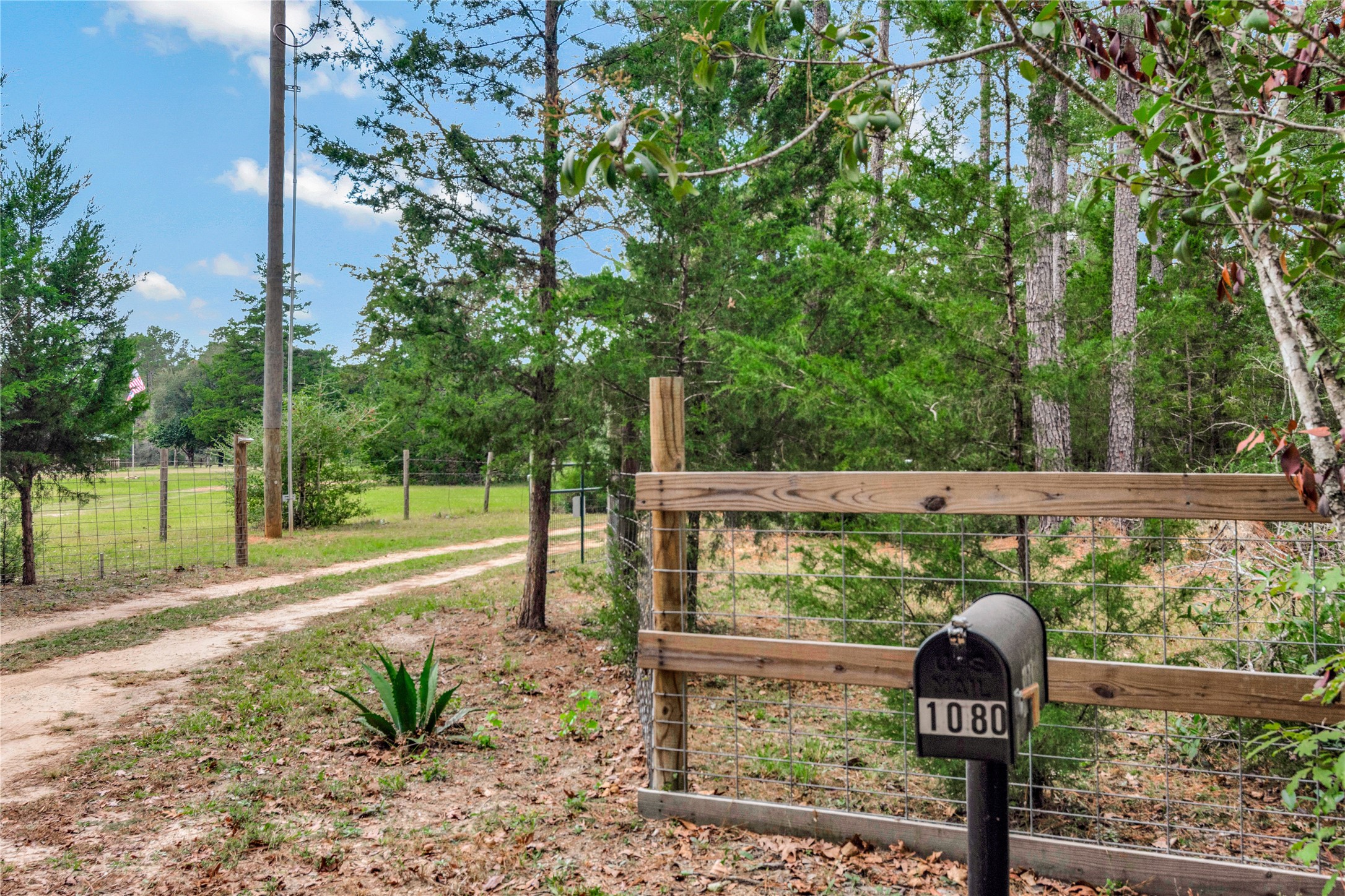 1080 Hill Road Willis, TX 77378 - Photo 32 of 33 a front view of a lake with a table and chairs