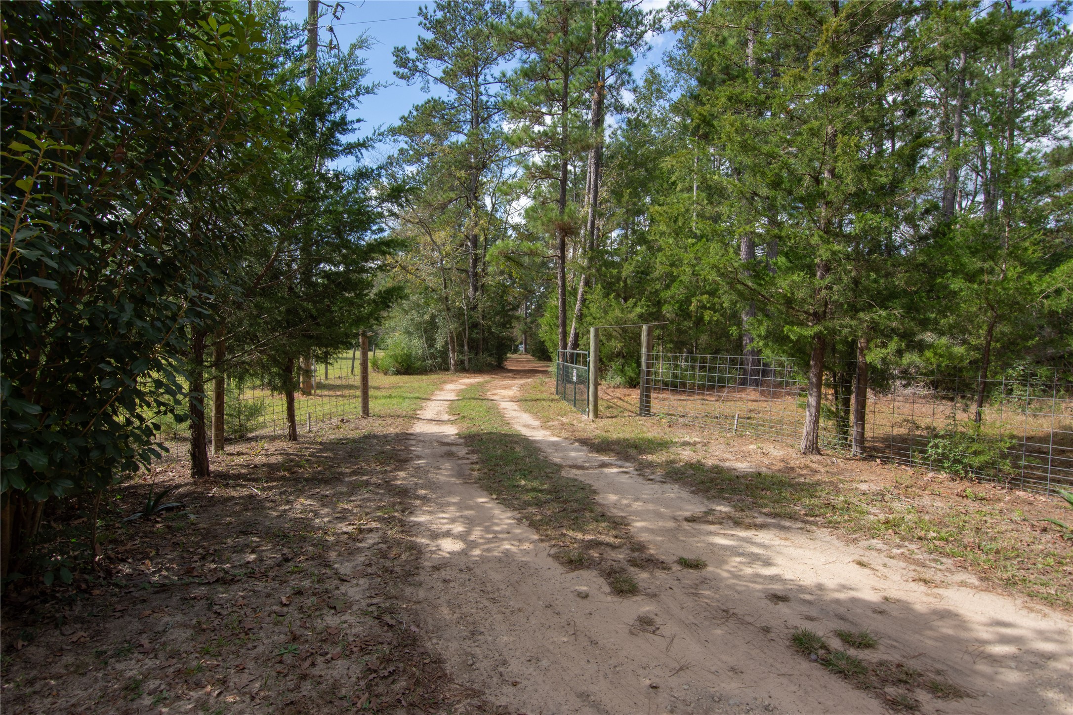 1080 Hill Road Willis, TX 77378 - Photo 33 of 33 a view of outdoor space with trees