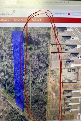 a view of a yard with plants