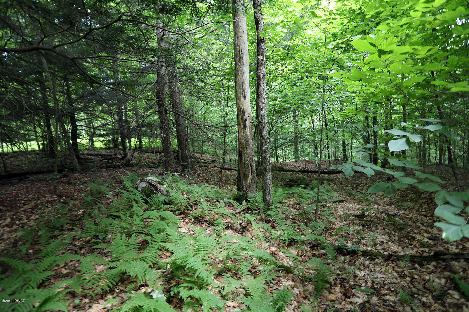 0 Minckler Mountain Road Equinunk, PA 18417 - Photo 15 of 39
