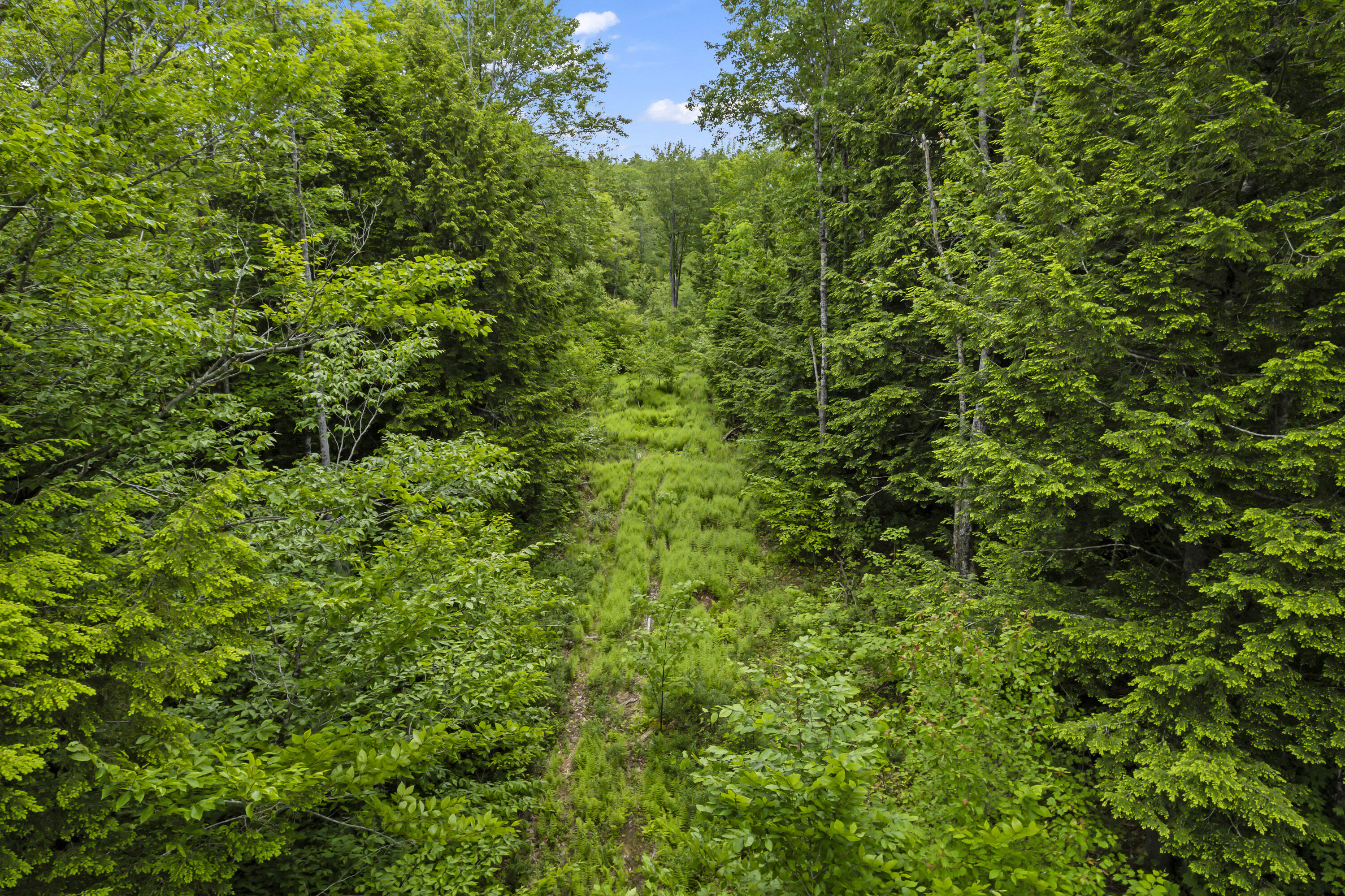 44 A Trott Road Woolwich, ME 04579 - Photo 37 of 37