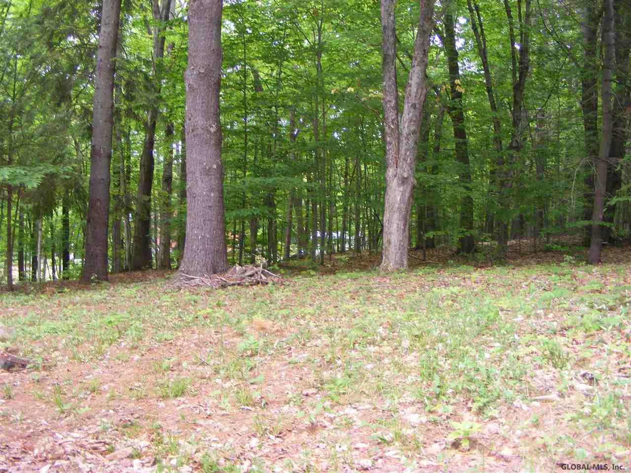 1280 South Shore Road Edinburg, NY 12835 - Photo 14 of 14 Photo 14