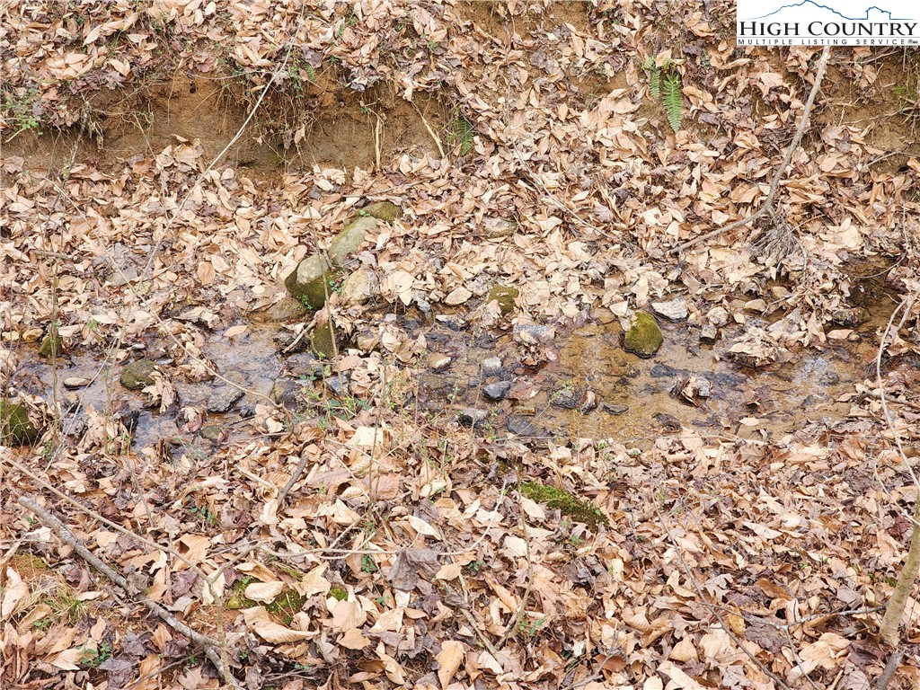 865 Armory Road North Wilkesboro, NC 28659 - Photo 34 of 40 a view of a yard