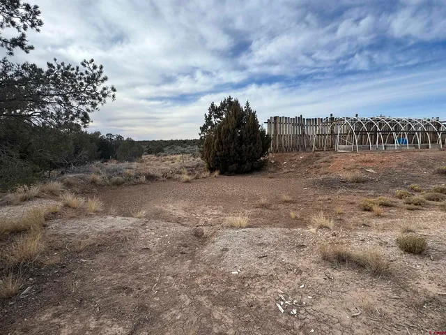 a view of a lake in middle of forest