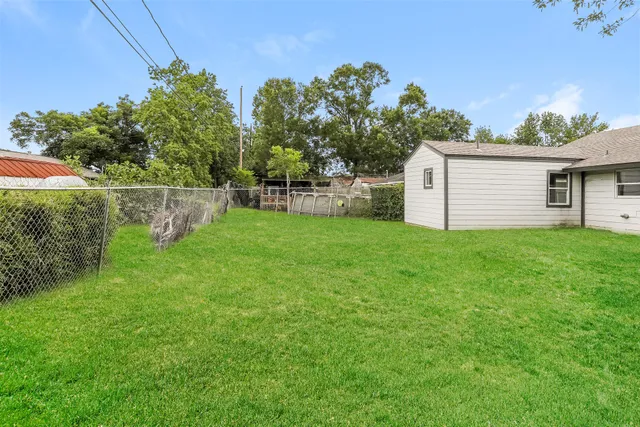 a view of a backyard with plants and a large tree
