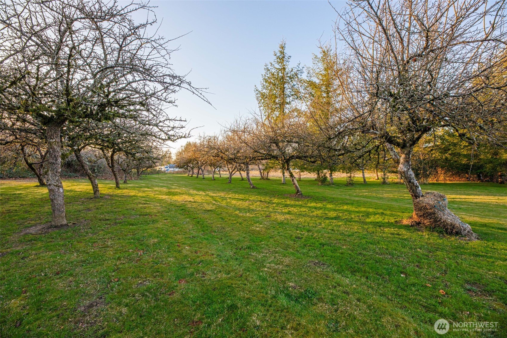 38431 147th Street Southeast Sultan, WA 98294 - Photo 23 of 28