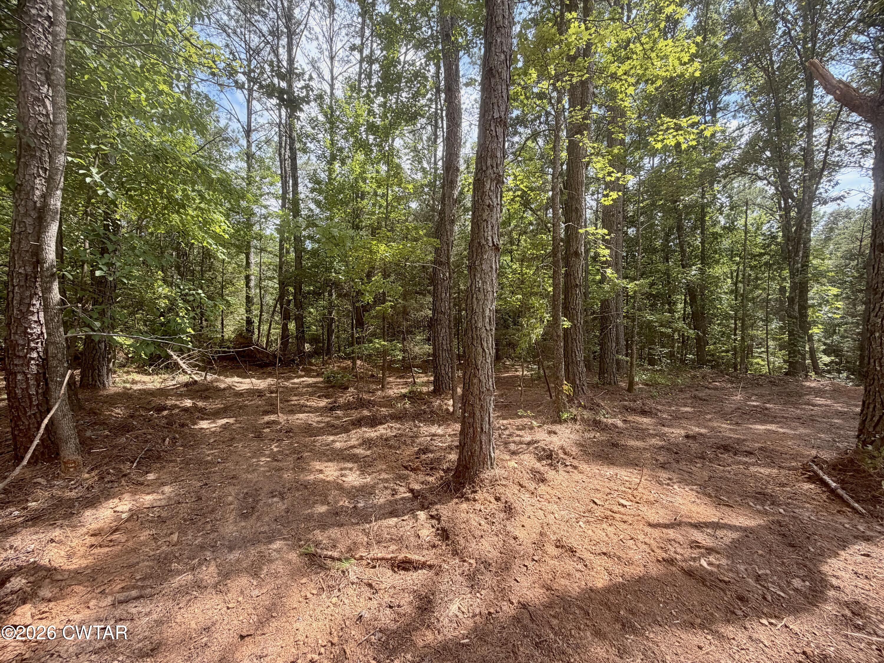 0 Old Lula Road Reagan, TN 38368 - Photo 7 of 18 IMG_4603