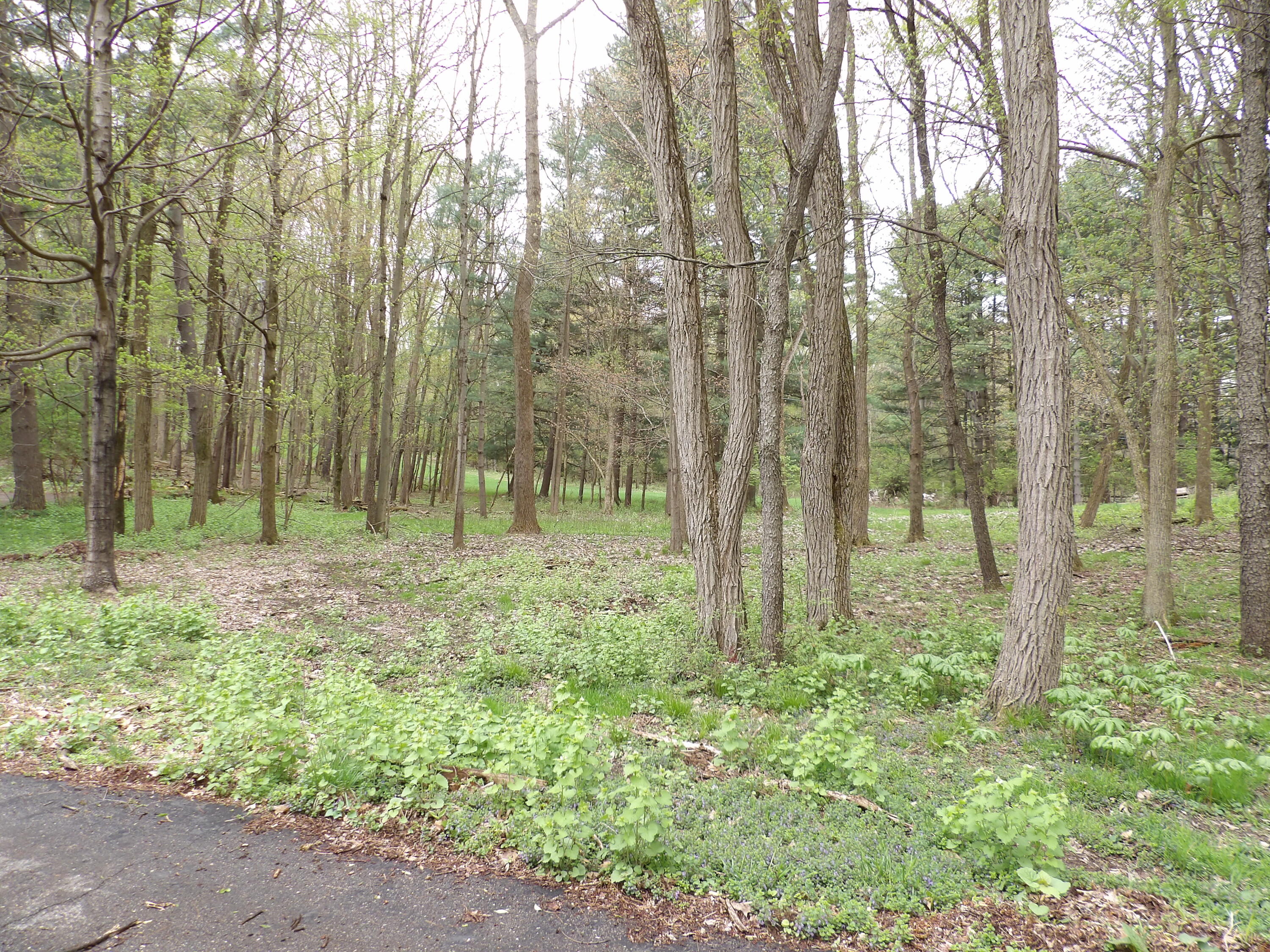 1200 Briar Road Niles, MI 49120 - Photo 33 of 52 100_0374