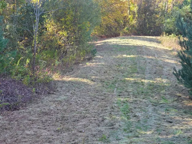 a view of outdoor space with trees all around