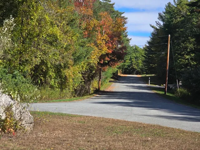 a view of backyard with green space