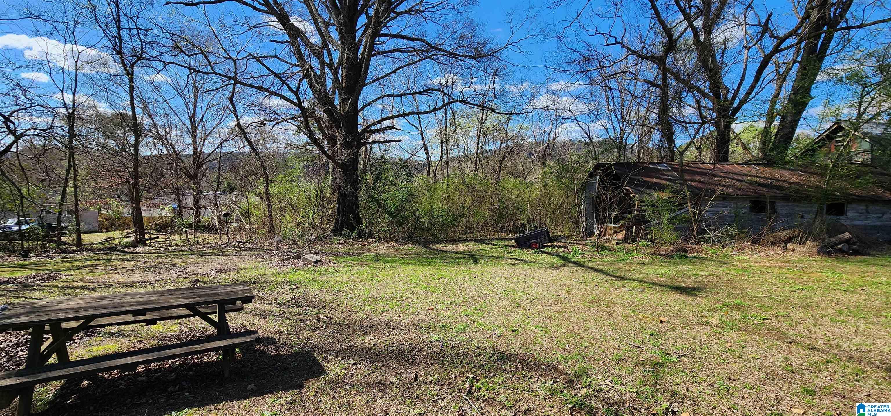 608 A Street South Oneonta, AL 35121 - Photo 17 of 28