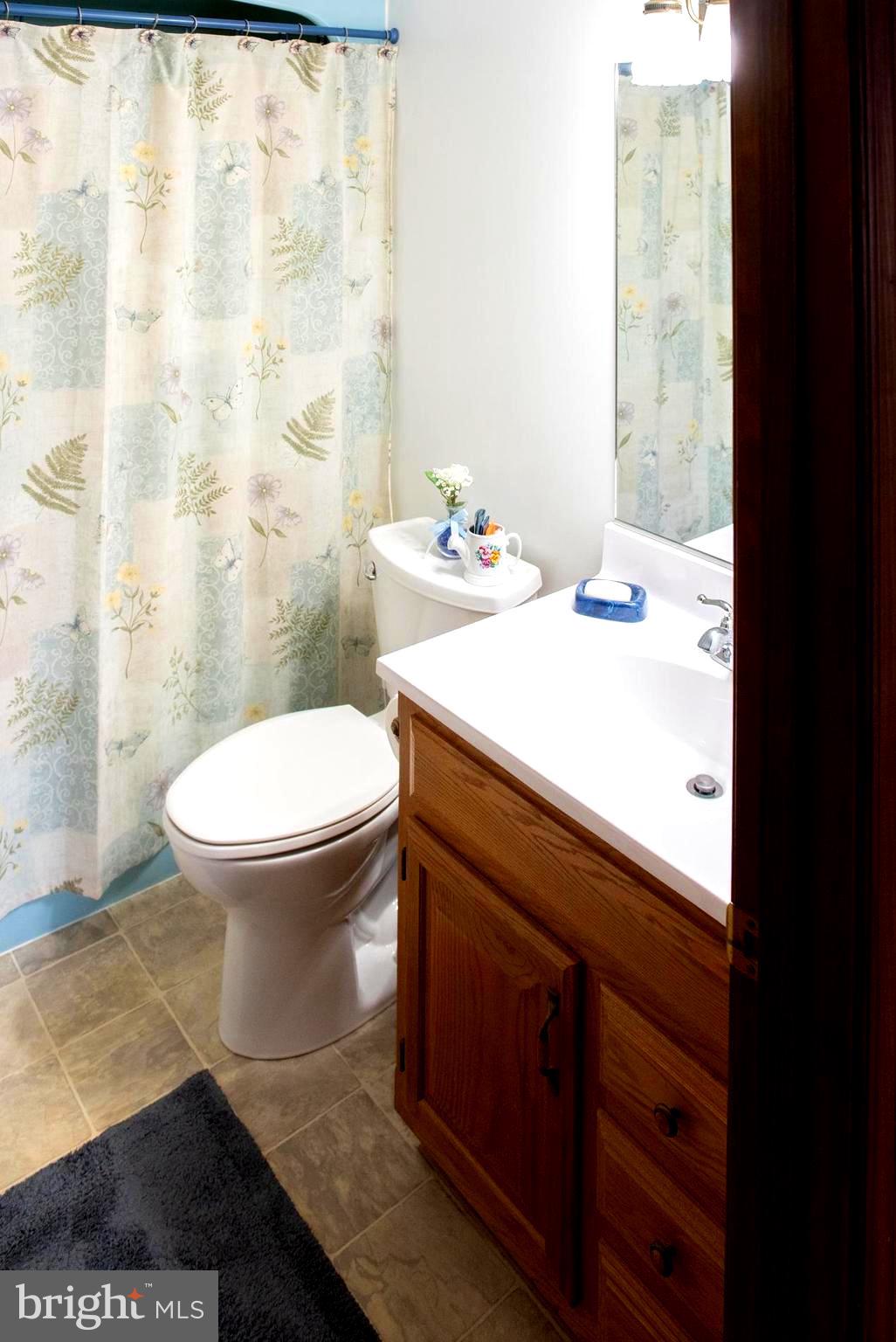 2086 Needhammer Road Pottstown, PA 19464 - Photo 32 of 58 common bathroom