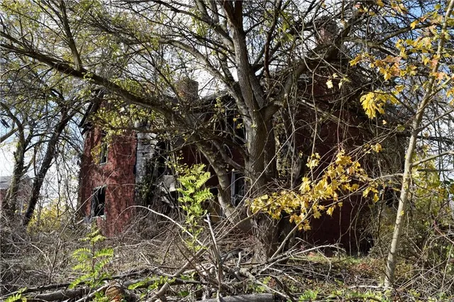 a backyard of a house with lots of green space
