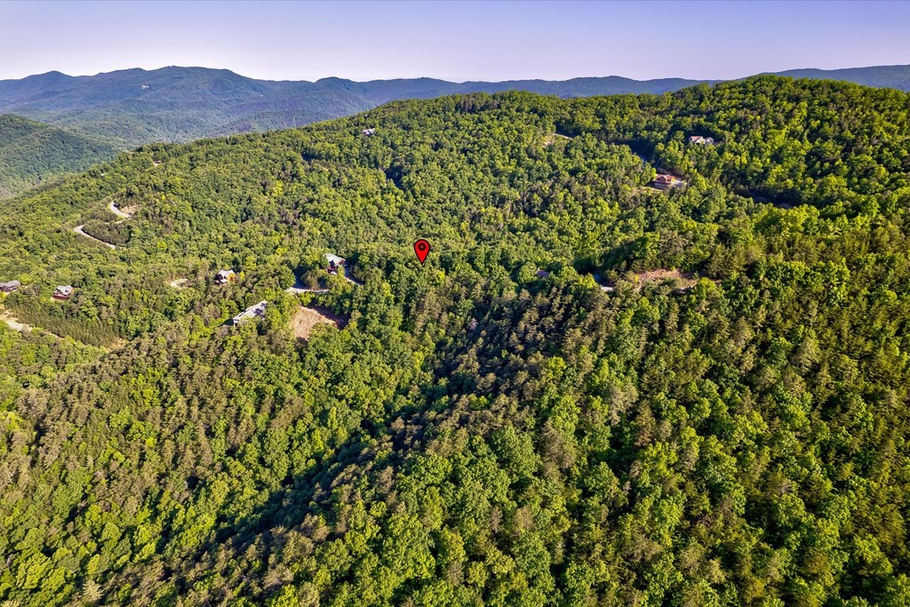 61 Redtail Road Sevierville, TN 37862 - Photo 13 of 17 Gallery Image 13