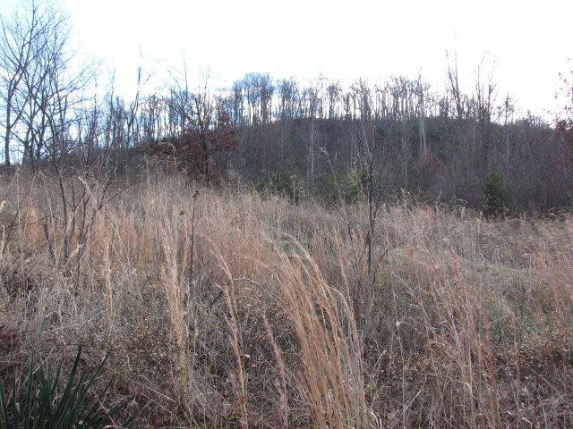 999 Dreyfus Road Waco, KY 40385 - Photo 6 of 14 Photo 6