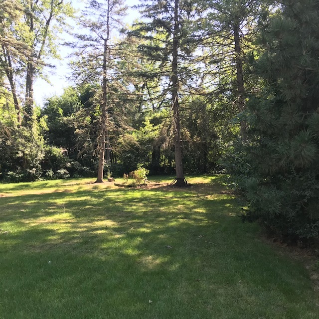 2325 Hawthorne Road Homewood, IL 60430 - Photo 20 of 22
