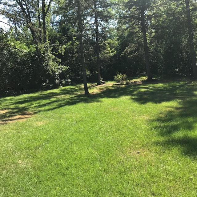 2325 Hawthorne Road Homewood, IL 60430 - Photo 21 of 22