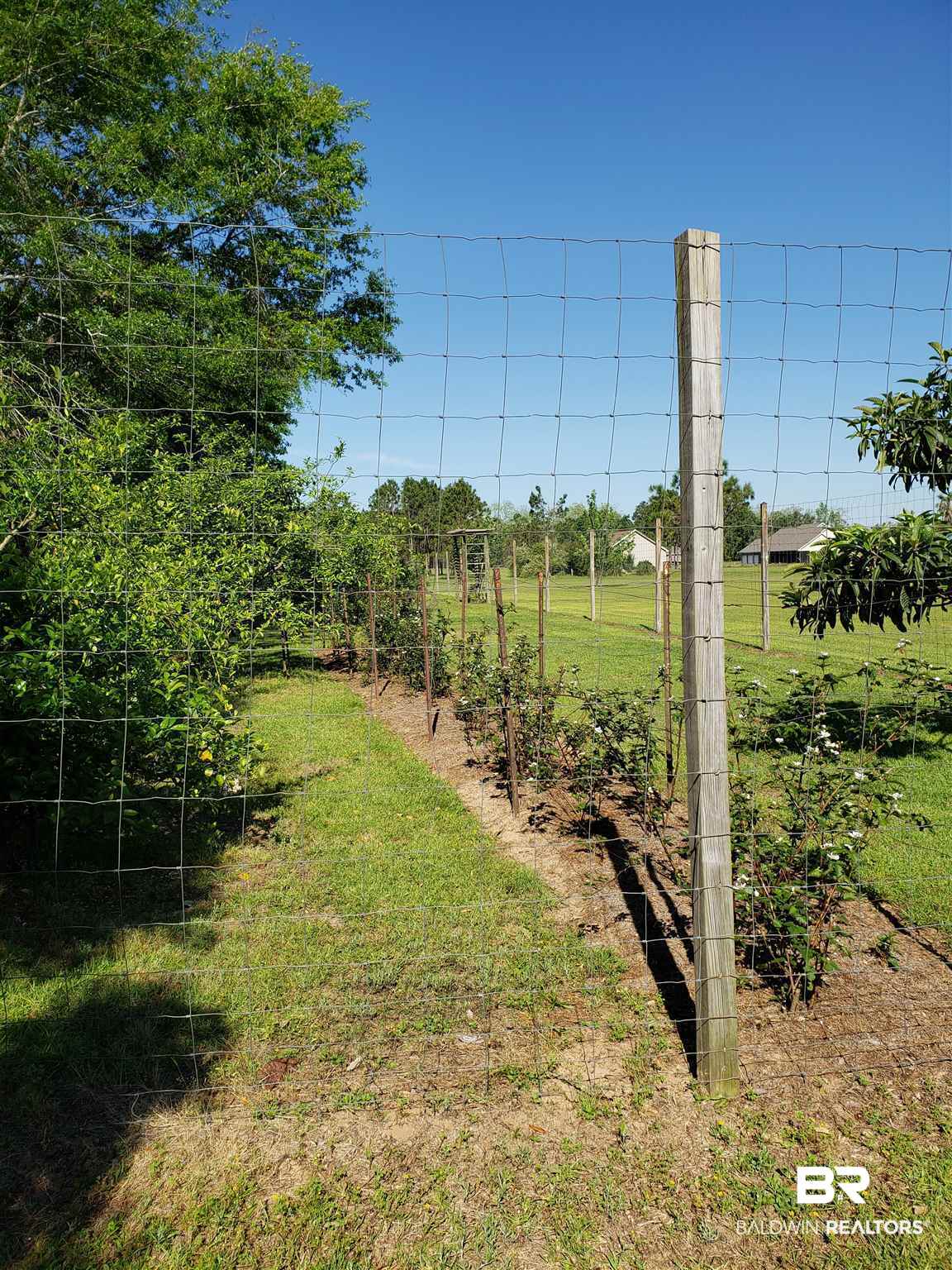 26188 Chatelaine Road Elberta, AL 36530 - Photo 47 of 48