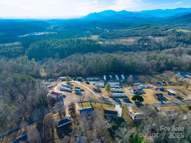 a picture of city view with lots of trees