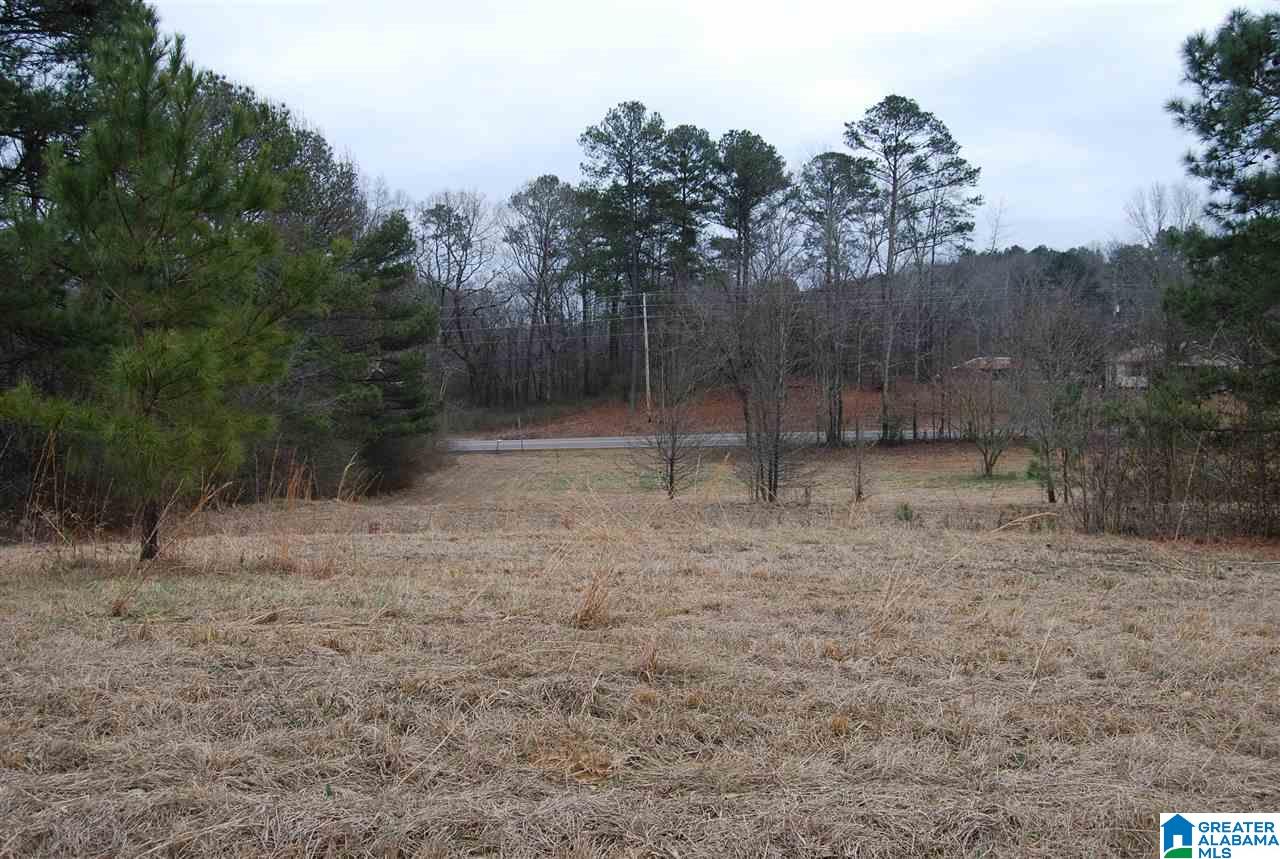 4747 Warrior Jasper Road, Unit 1 Dora, AL 35062 - Photo 8 of 9