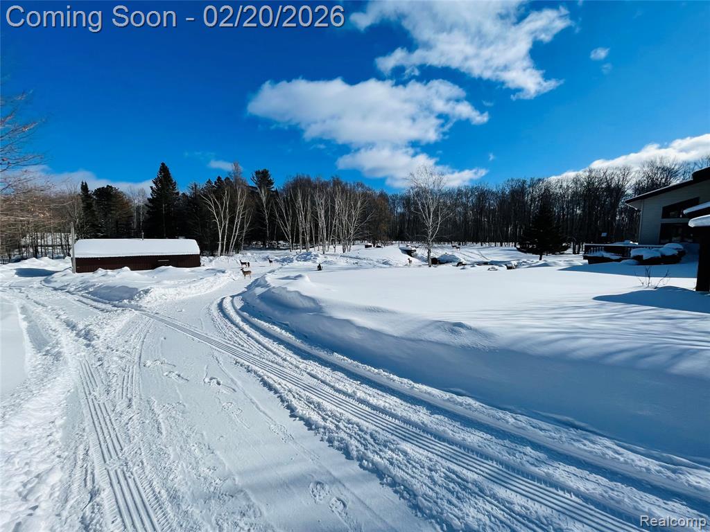21805 South Wilwin Road Trout Lake, MI 49793 - Photo 36 of 54