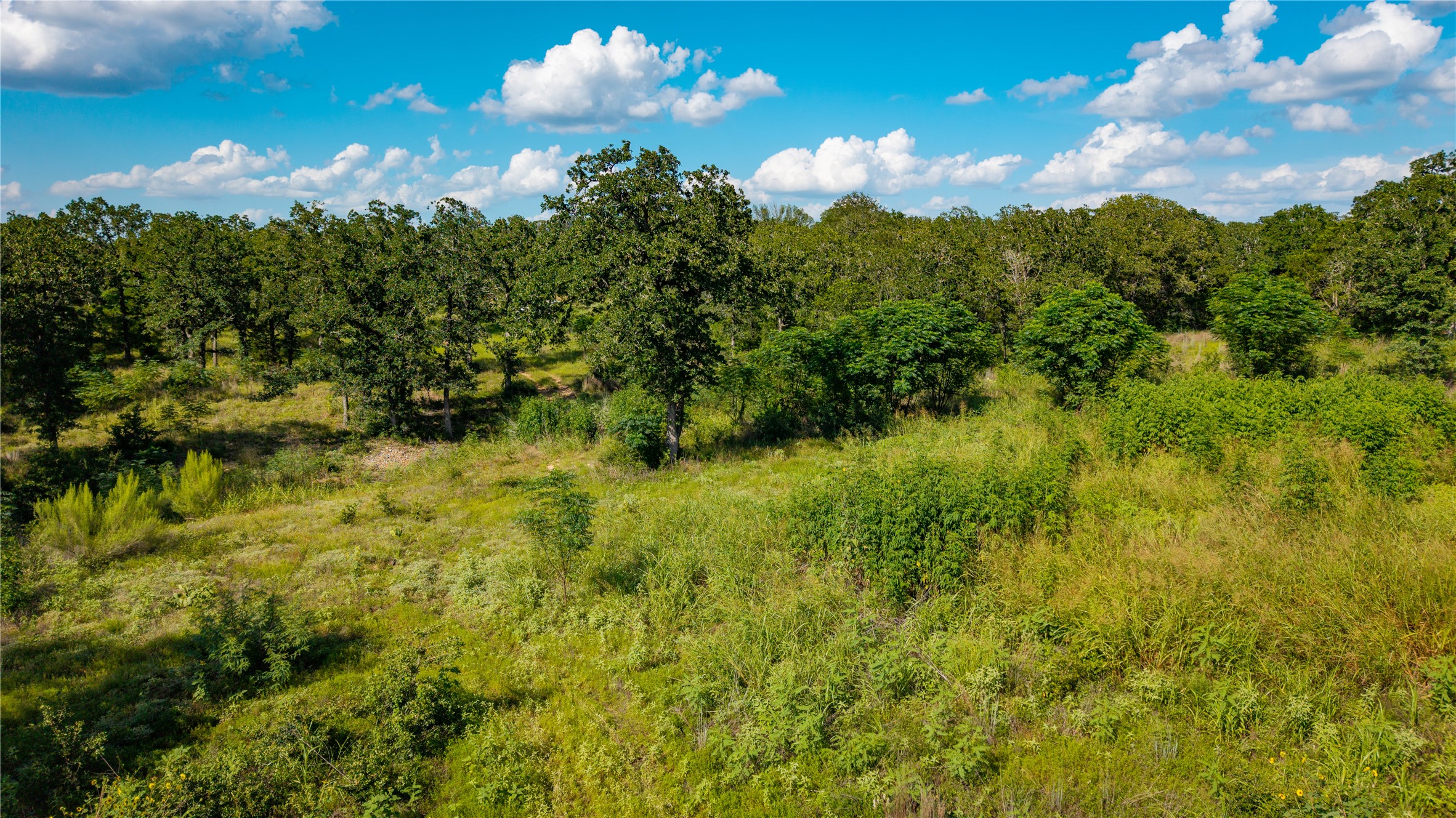 206 Sayers Road Bastrop, TX 78602 - Photo 7 of 23 a view of a green yard