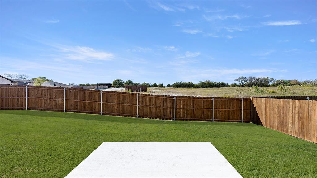 2524 YO Rnch Road Anna, TX 75409 - Photo 25 of 30 a view of a yard with a lake view