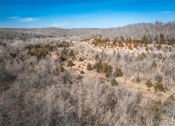 $329,900 | 0 Highway C Courtois Mo 65565, Potosi, MO 63664