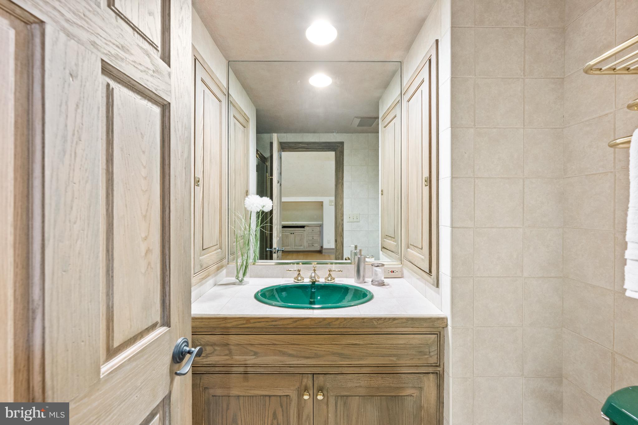 11552 Springridge Road Potomac, MD 20854 - Photo 45 of 65 a bathroom with a sink a mirror and a shower