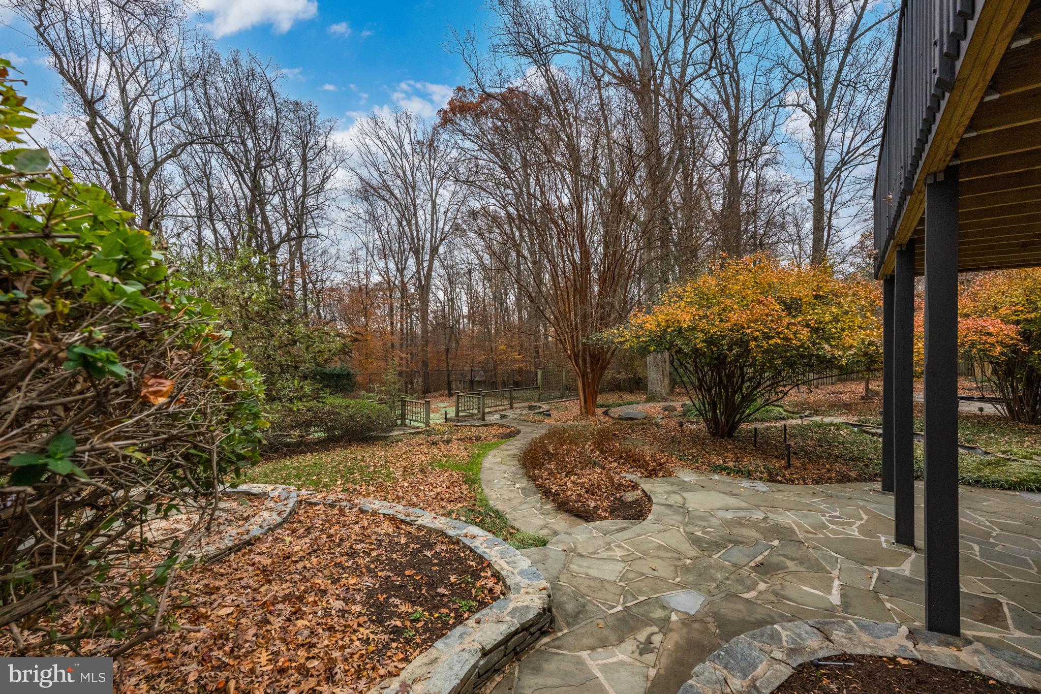 11552 Springridge Road Potomac, MD 20854 - Photo 62 of 65 a view of a yard with plants and trees