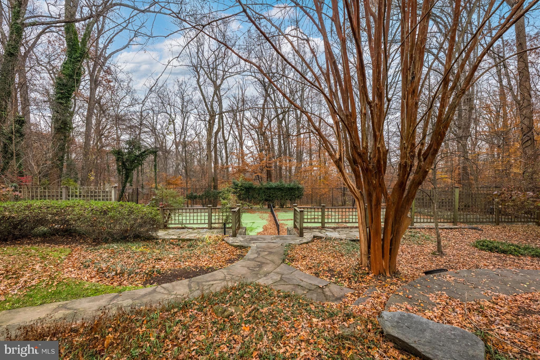 11552 Springridge Road Potomac, MD 20854 - Photo 63 of 65 a view of a tree in the backyard of a house