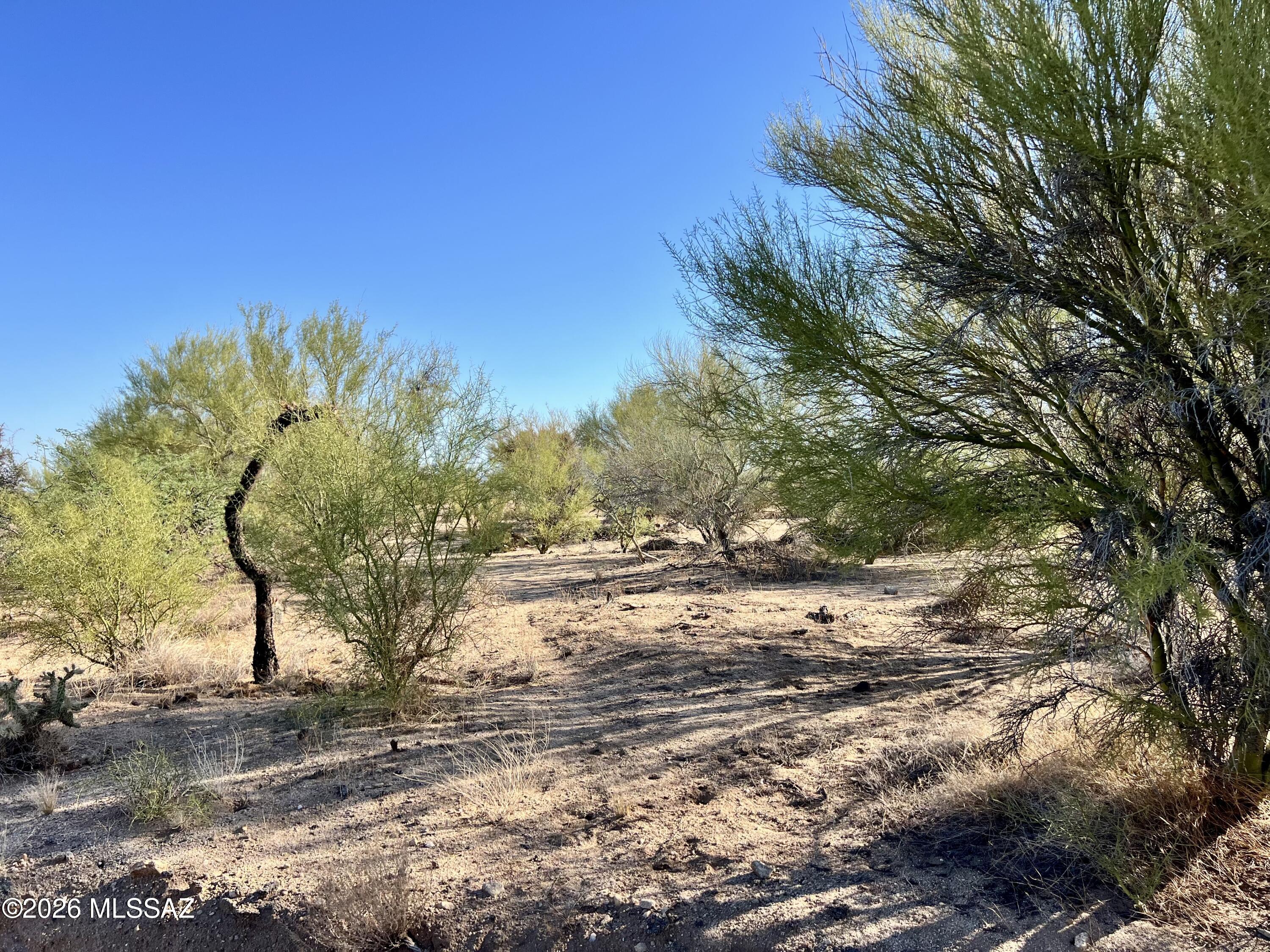 3-lots West Diamond Bell Ranch Road, Unit 1113 Tucson, AZ 85736 - Photo 8 of 12