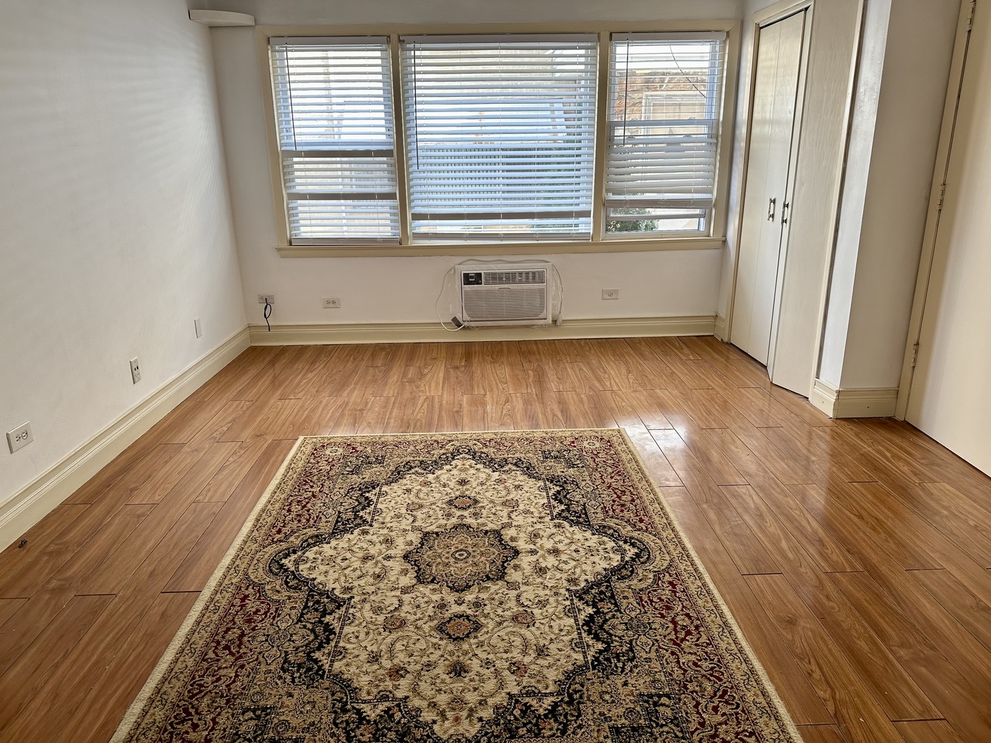 8518 West Rascher Avenue, Unit 2 Chicago, IL 60656 - Photo 11 of 22