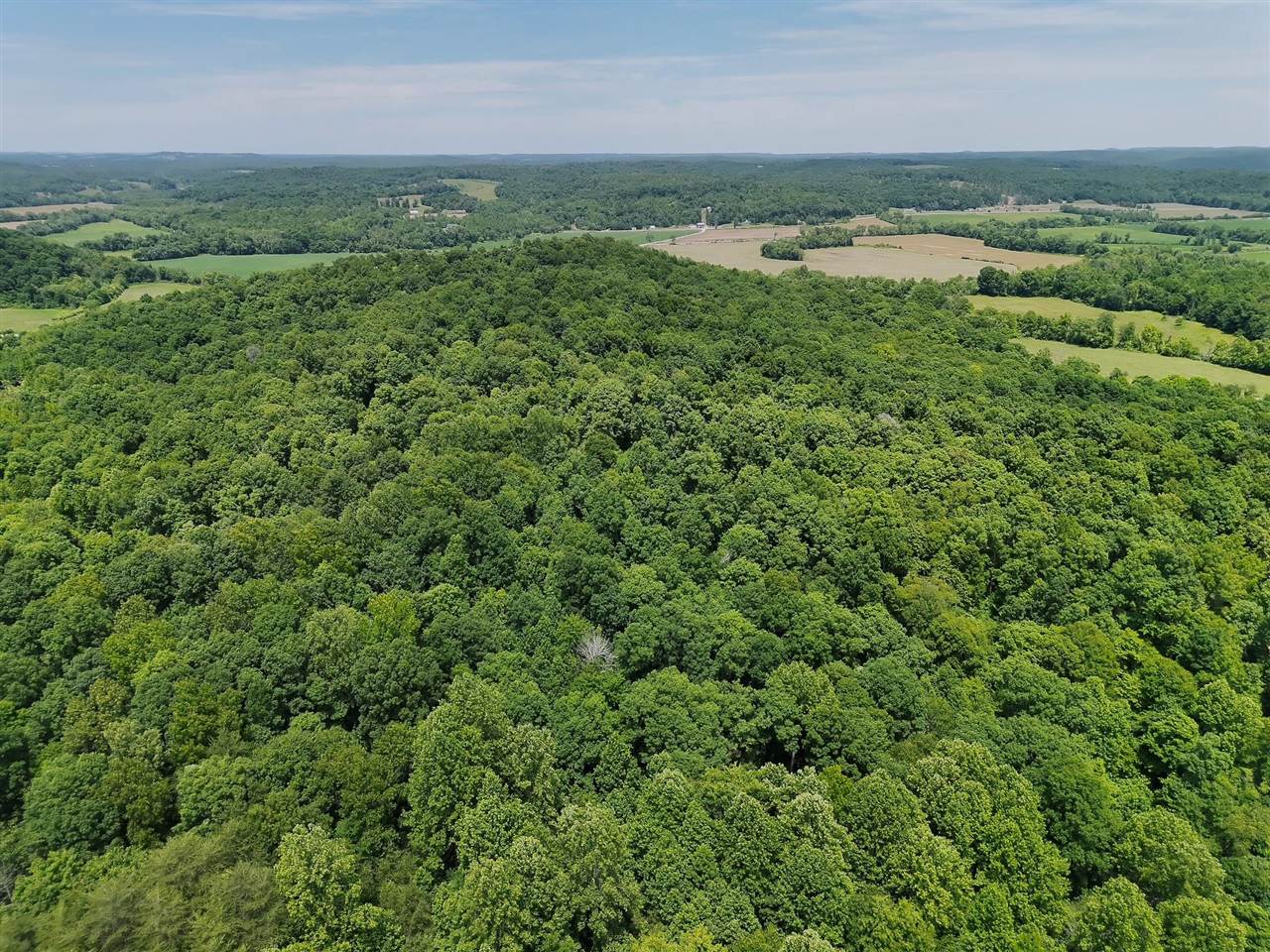 2335 Dogwalk Road Horse Branch, KY 42349 - Photo 27 of 39 Gallery Image 27