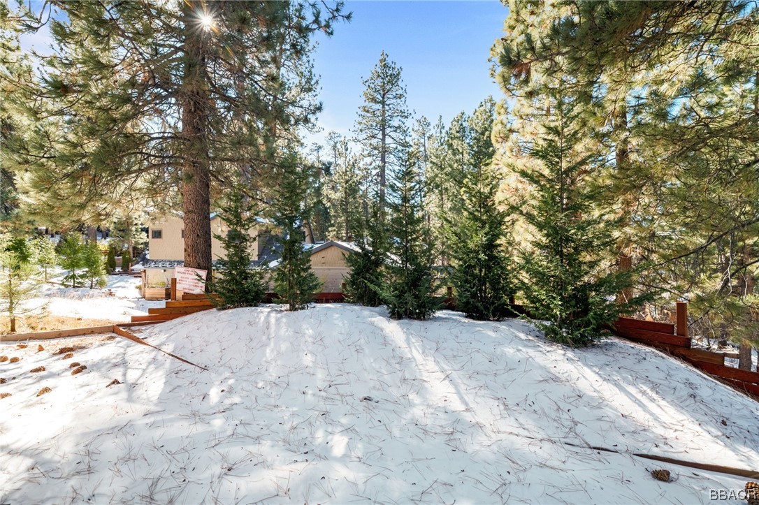 368 Pulaski Road Big Bear Lake, CA 92315 - Photo 43 of 44