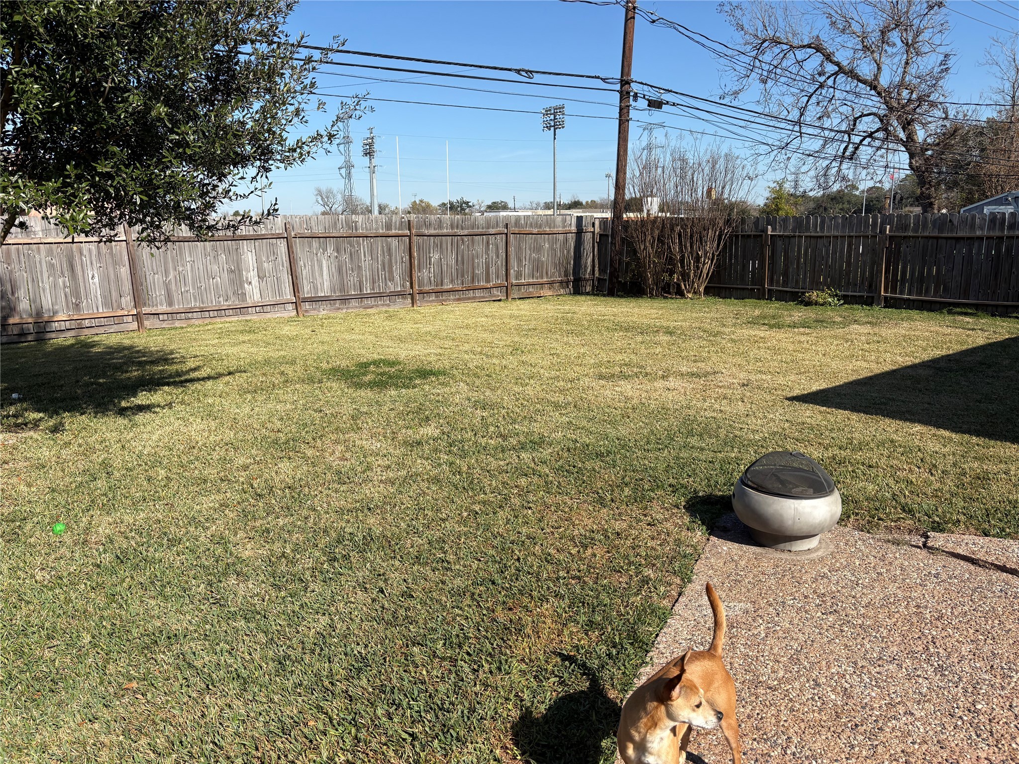 9530 Emnora Lane Houston, TX 77080 - Photo 12 of 16 a view of a backyard