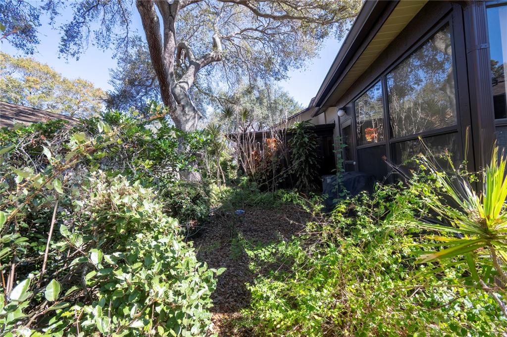 1684 Fry Court Dunedin, FL 34698 - Photo 46 of 68