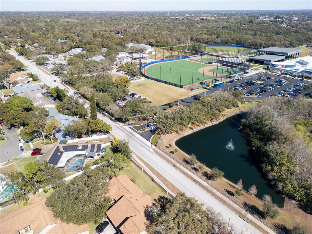 1684 Fry Court Dunedin, FL 34698 - Photo 62 of 68