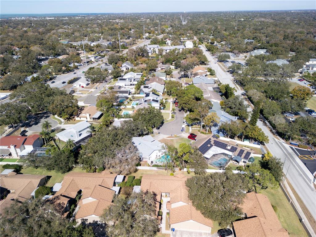 1684 Fry Court Dunedin, FL 34698 - Photo 63 of 68