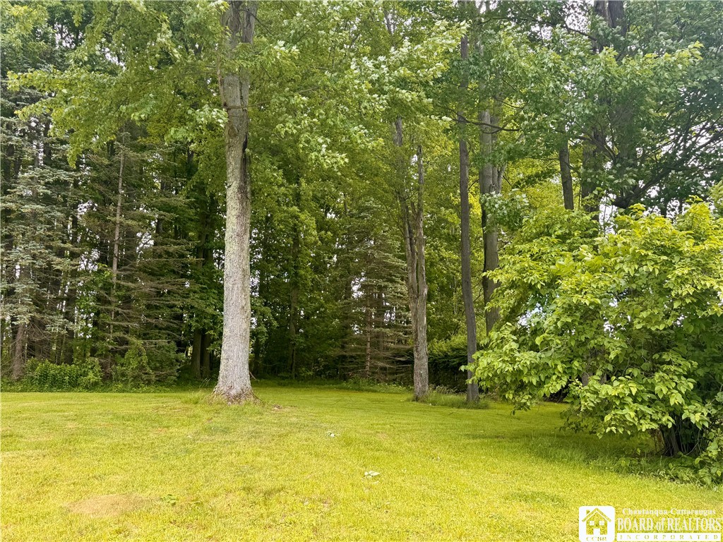 190 Old Fentonville Road Carroll, NY 14738 - Photo 25 of 41