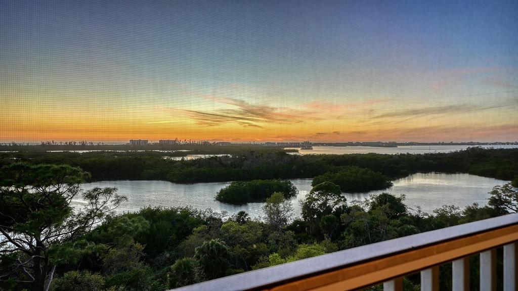 385 North Point Road, Unit 701 Osprey, FL 34229 - Photo 31 of 97