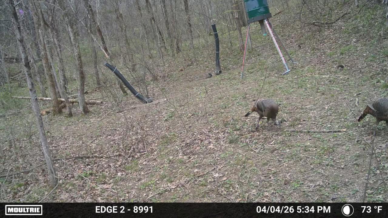 10792 New Columbus Road Owenton, KY 40359 - Photo 12 of 22 WL6