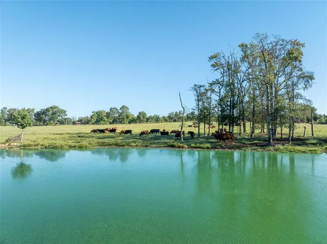 a view of a lake with houses in the back