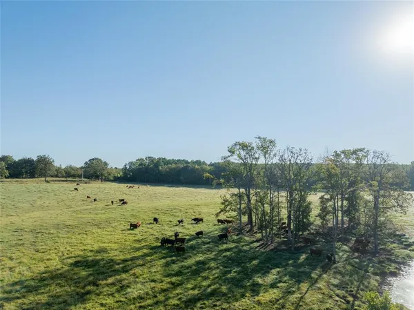 a view of a lake with a beach
