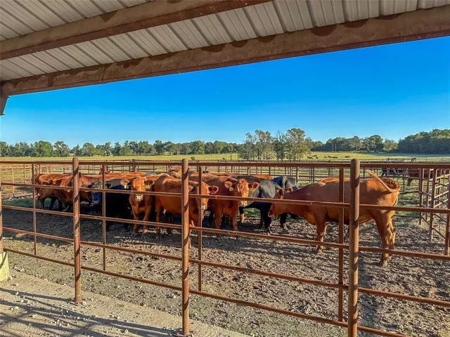 a view of a backyard of a house